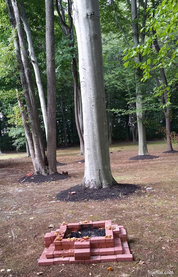 Temple trees