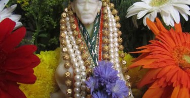 Saibaba flowers