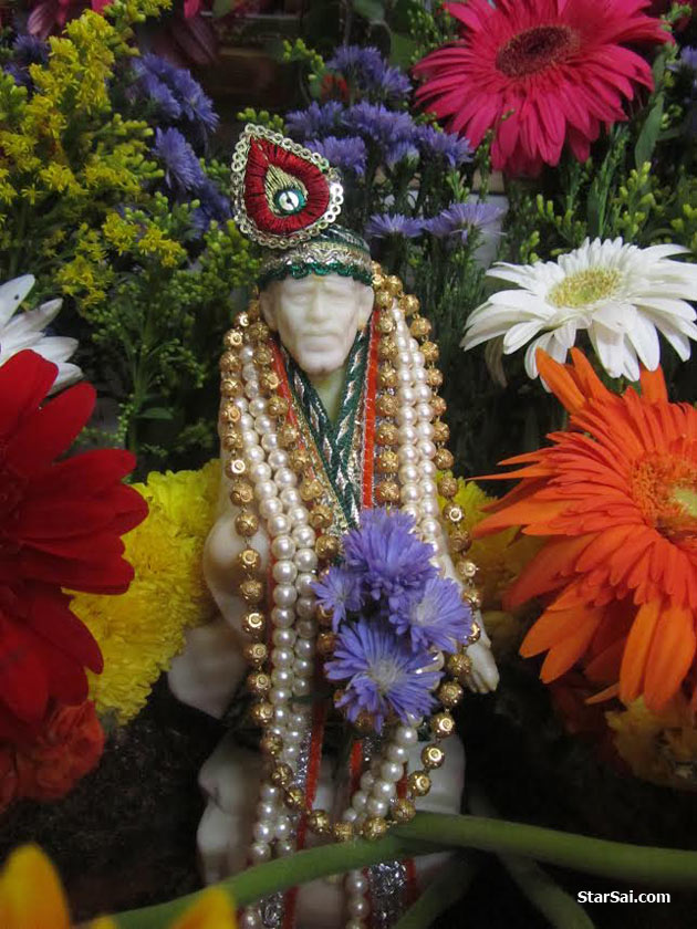 Saibaba flowers