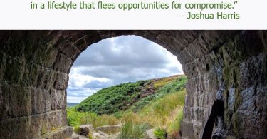 purity check saibaba