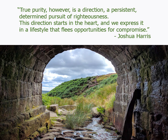 purity check saibaba