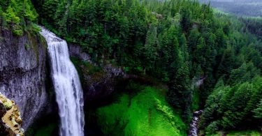 Career Growth quotes