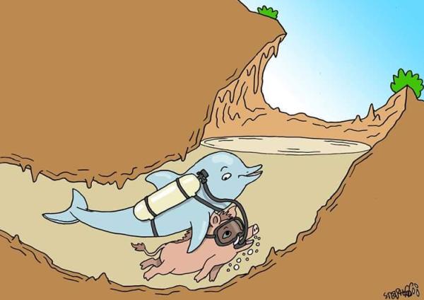 Thai cave rescue cartoon