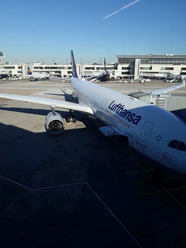 lufhansa frankfurt
