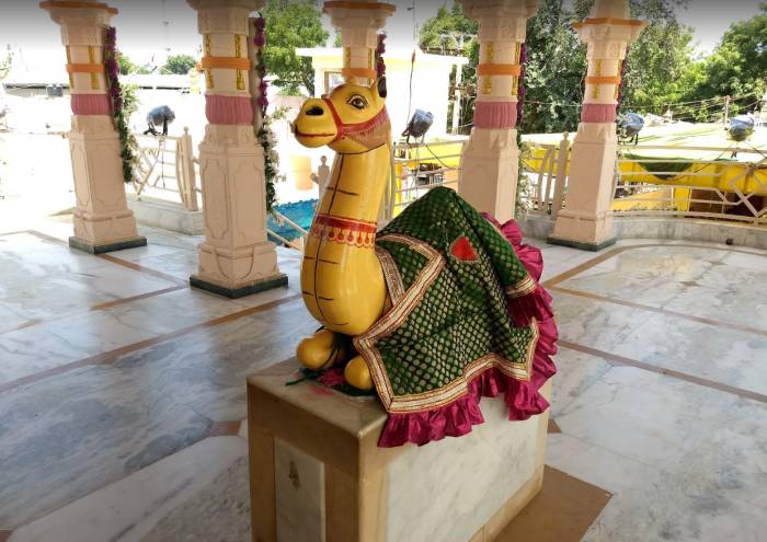 Dashama camel temple