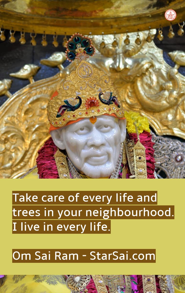 Shirdi Saibaba Trees