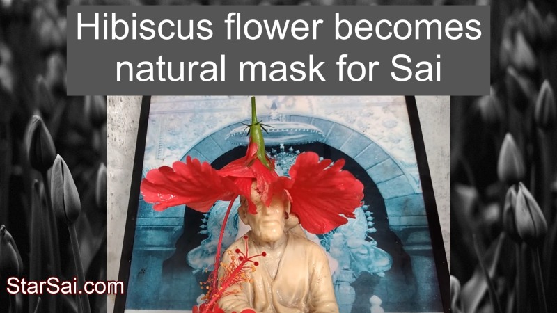 Shirdi Sai Baba with natural mask
