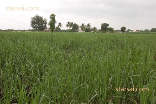 bayaji ma shirdi saibaba
