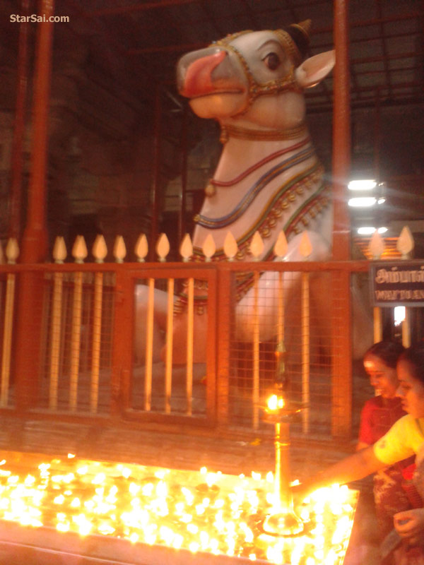nandhi nellaiappar temple