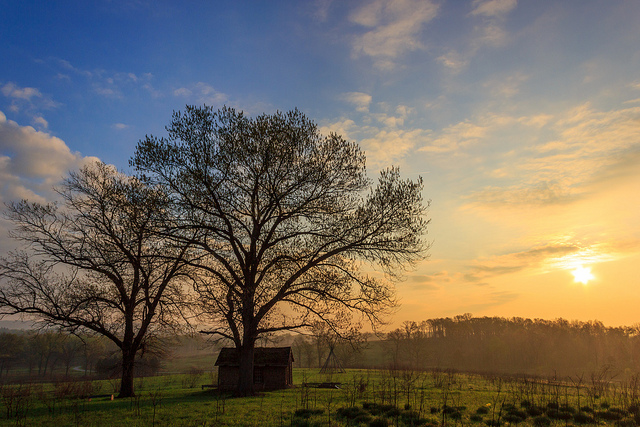 nature inspiration photo