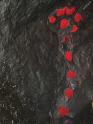 paambaati sidhar cave marudhamalai