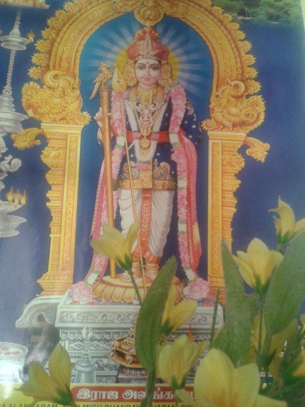 palani murugan 