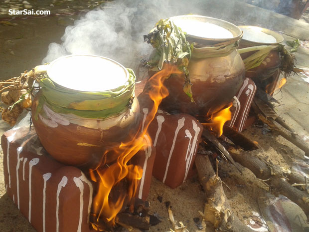 pongal festival