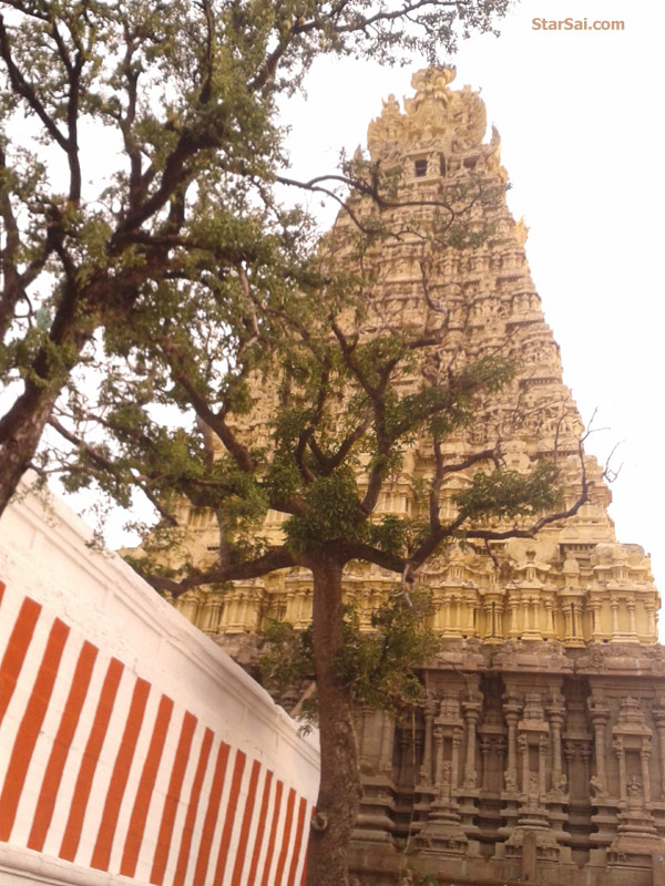 sankaran kovil