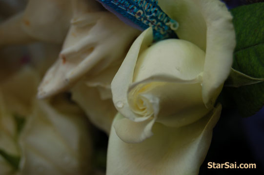 sai baba aarti in telugu audio free download sai baba aarti in telugu audio free download